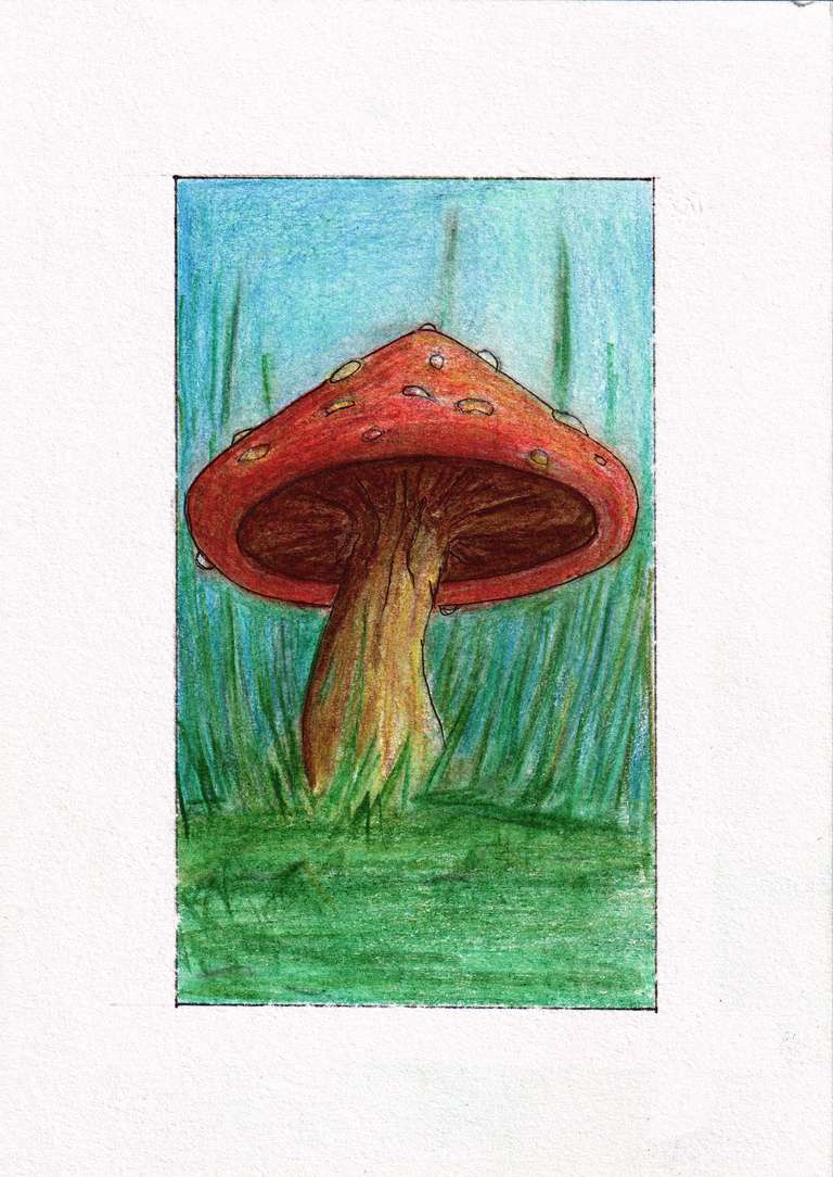 Der Pilz